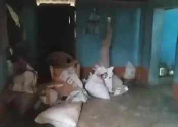 ହାତୀପଲ ଗାଁରେ ପଶି ଖାଇଗଲେ ଖାଦ୍ୟ