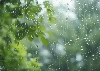 ଆସନ୍ତା ୩୧ ତାରିଖ ଯାଏଁ ରାଜ୍ୟର ବିଭିନ୍ନ ସ୍ଥାନରେ ପ୍ରବଳ ବର୍ଷା