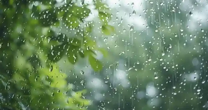 ଆସନ୍ତା ୩୧ ତାରିଖ ଯାଏଁ ରାଜ୍ୟର ବିଭିନ୍ନ ସ୍ଥାନରେ ପ୍ରବଳ ବର୍ଷା