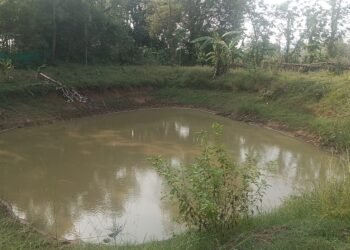 -ଗେଦିଲା.ଜୟ କିଶୋର ବାୟୋ ପ୍ଲାକ ମାଛ ଚାଷ କରି ଲାଭବାନ ହୋଇ ପାରିଛନ୍ତି