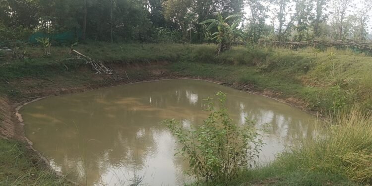 -ଗେଦିଲା.ଜୟ କିଶୋର ବାୟୋ ପ୍ଲାକ ମାଛ ଚାଷ କରି ଲାଭବାନ ହୋଇ ପାରିଛନ୍ତି