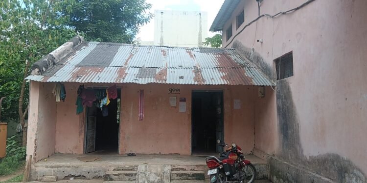 ସମସ୍ୟା  ଘେରରେ ସହକାରୀ ବିହନ ଉତ୍ପାଦନ କାର୍ଯ୍ୟ।ୟଳ