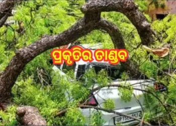 ଉତ୍ତରପ୍ରଦେଶରେ ଝଡ଼ବର୍ଷା ନେଲା ୫୧ ଜୀବନ