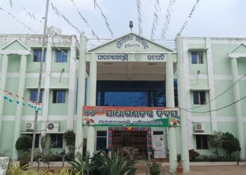 ଆନ୍ତର୍ଜାତୀକ ସମବାୟ ବର୍ଷ ୨୦୨୫ ପାଳିତ