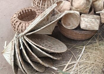 ଏବେବି  ବଞ୍ଚିରହିଛି ତାଳ ପତ୍ର ତଲାରୀର ଚାହିଦା