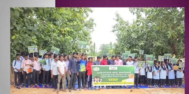 ମହିଳାଙ୍କ ଉପରେ ଅସଦାଚରଣ, ଦୁଷ୍କର୍ମ, ହତ୍ୟା ଘଟଣା ପ୍ରତିବାଦରେ ଛାତ୍ର ଆନ୍ଦୋଳନ