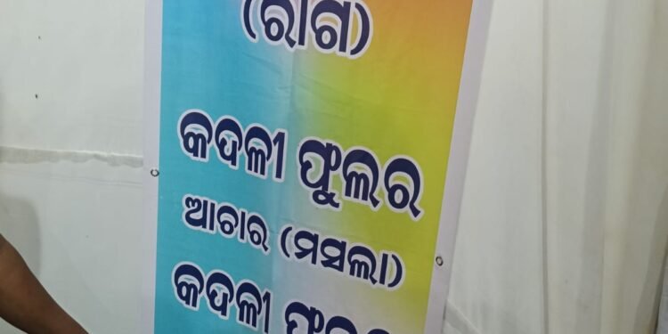କଦଳୀ ଗଛର ବର୍ଜ୍ୟବସ୍ତୁରୁ  ବିଭିନ୍ନ ସାମଗ୍ରୀ ତିଆରି