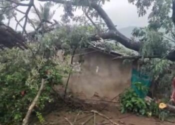 ଲଗାଣ ବର୍ଷାରେ ଘର ଉପରେ ପଡ଼ିଲା ଗଛ, ଅଳ୍ପକେ ବର୍ତ୍ତିଲା ପରିବାର