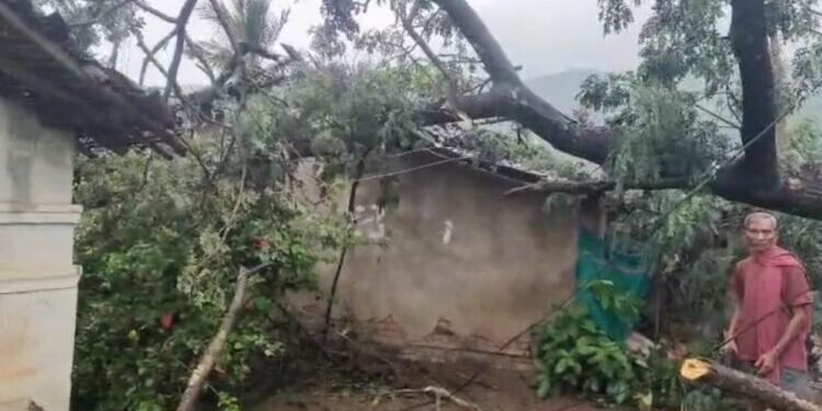 ଲଗାଣ ବର୍ଷାରେ ଘର ଉପରେ ପଡ଼ିଲା ଗଛ, ଅଳ୍ପକେ ବର୍ତ୍ତିଲା ପରିବାର