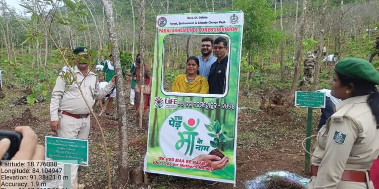 ୭୬ତମ ବନ ମହୋତ୍ସବ ପାଳିତ