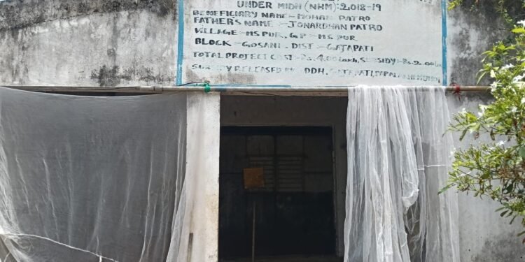 ସମନ୍ୱିତ ଚାଷ କରି ଲାଭବାନ ହୋଇ ପାରିଛନ୍ତି ମୋହନ ପାତ୍ର