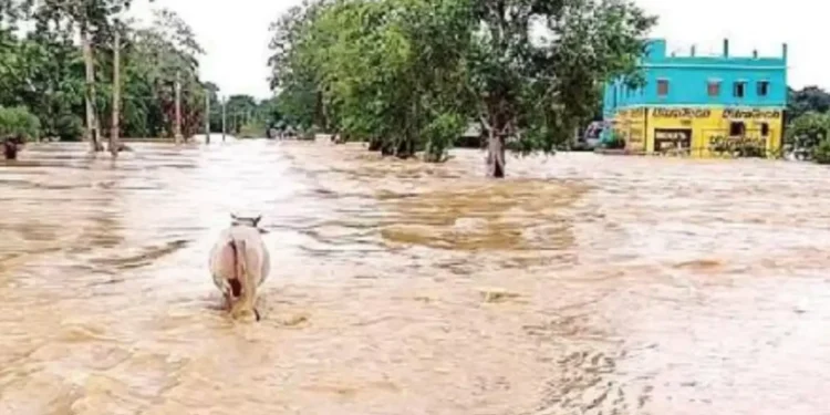 ଅବପାତ ପ୍ରଭାବରେ ଉତ୍ତର ଓଡ଼ିଶାରେ ବନ୍ୟା