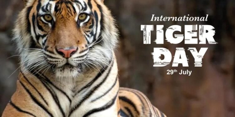 ଆଜି ଅନ୍ତର୍ଜାତୀୟ ବ୍ୟାଘ୍ର ଦିବସ