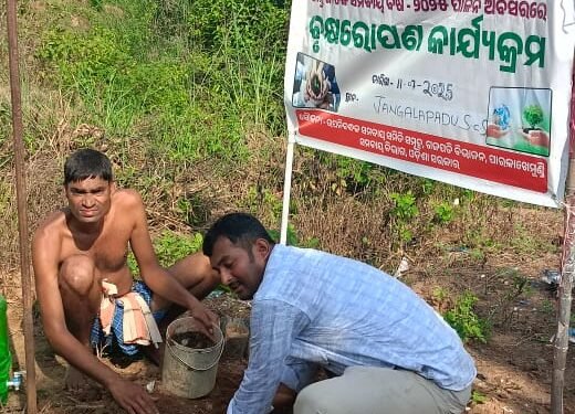 ଜଙ୍ଗଲପାଡୁ ପ୍ରାଥମିକ ସମବାୟ ସମିତି ବୃକ୍ଷ ରୋପଣ କାର୍ଯ୍ୟକ୍ରମ ଅନୁଷ୍ଠିତ