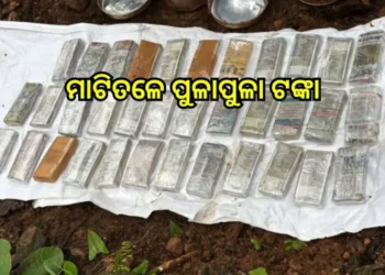 ଓଡ଼ିଶା-ଝାଡ଼ଖଣ୍ଡ ସୀମାନ୍ତ ସରଣ୍ଡା ଜଙ୍ଗଲରୁ ମାଟି ତଳୁ ମିଳିଲା ଲକ୍ଷ ଲକ୍ଷ ଟଙ୍କା