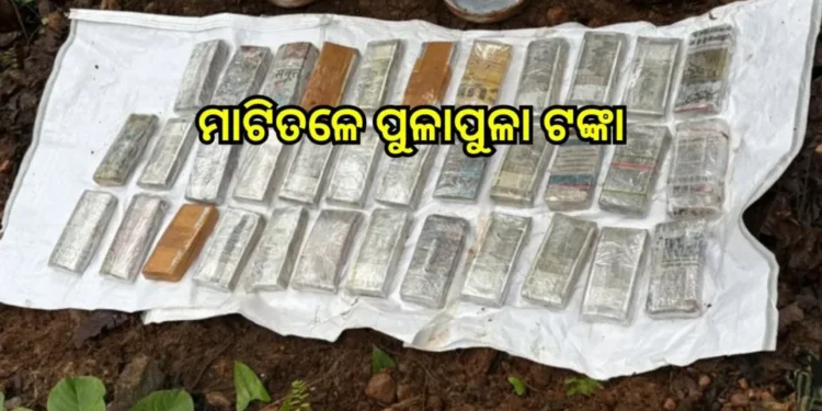 ଓଡ଼ିଶା-ଝାଡ଼ଖଣ୍ଡ ସୀମାନ୍ତ ସରଣ୍ଡା ଜଙ୍ଗଲରୁ ମାଟି ତଳୁ ମିଳିଲା ଲକ୍ଷ ଲକ୍ଷ ଟଙ୍କା