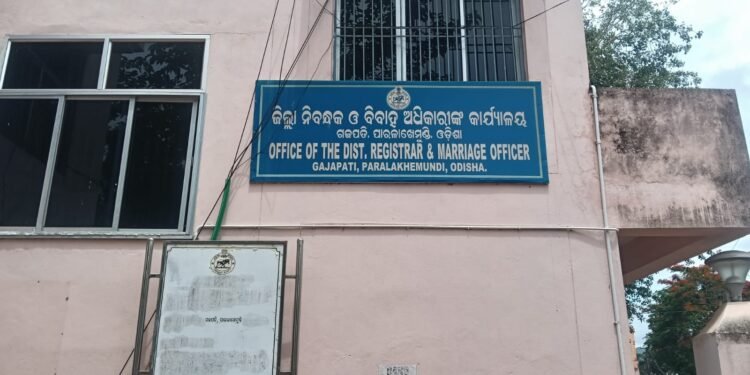 ଗଜପତିରେ ଚାଷ ଜମିକୁ କ୍ରୟ କରି ଘରବାରି ପ୍ଲଟ କରି ମାଲାମାଲ ହଉଛନ୍ତି ପ୍ଲଟ ବେପାରୀ