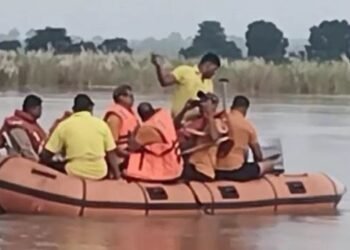 ନଦୀପଠାରେ ଫସିଛନ୍ତି ଗୋରୁପଲ, ଉଦ୍ଧାର କାର୍ଯ୍ୟ ଜାରି