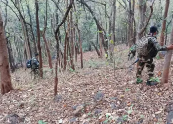 ଛିନ୍ଦଖଡ଼କ ଜଙ୍ଗଲରେ ଗୁଳିବିନିମୟ, ୩ ମାଓବାଦୀ ନିହତ