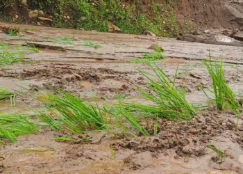 ଲଘୁଚାପ ଜନିତ ବର୍ଷାରେ ଗଜପତି ଜିଲ୍ଲାରେ ୮୦କୋଟି ଟଙ୍କାର କ୍ଷୟକ୍ଷତି