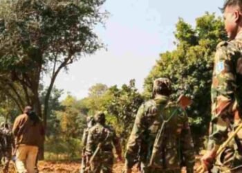 ଆତ୍ମସମର୍ପଣ କଲେ ଦୁଇ ମାଓବାଦୀ