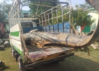 କଷିଆ ମୁହାଣରୁ ମୃତ ଡ଼ଲଫିନ ଉଦ୍ଧାର