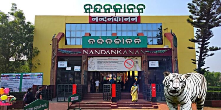 ପ୍ରାଣୀ ଉଦ୍ୟାନ ନନ୍ଦନକାନନକୁ ଆସିବେ ନୂଆ ଅତିଥି