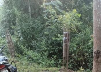 ଯୁବକଙ୍କୁ ହତ୍ୟା କଲେ ମାଓବାଦୀ