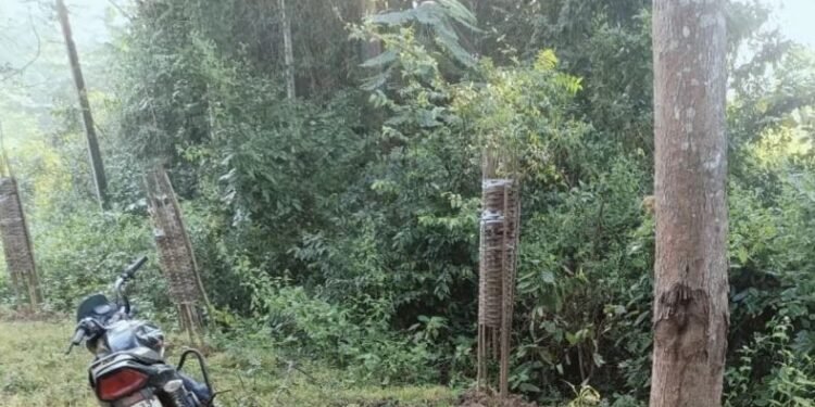 ଯୁବକଙ୍କୁ ହତ୍ୟା କଲେ ମାଓବାଦୀ