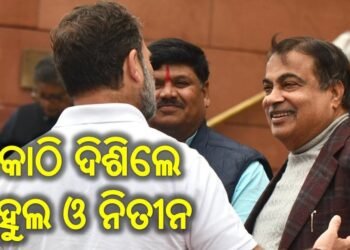 ସଂସଦରେ ଏକାଠି ଦିଶିଲେ ରାହୁଲ ଓ ନିତୀନ